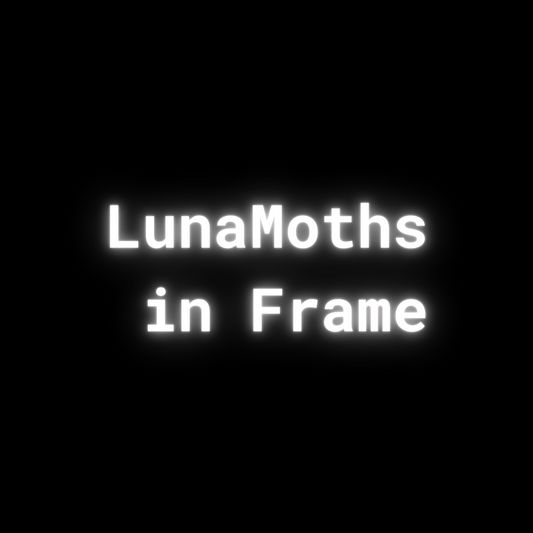 Luna Moth - Actias Luna